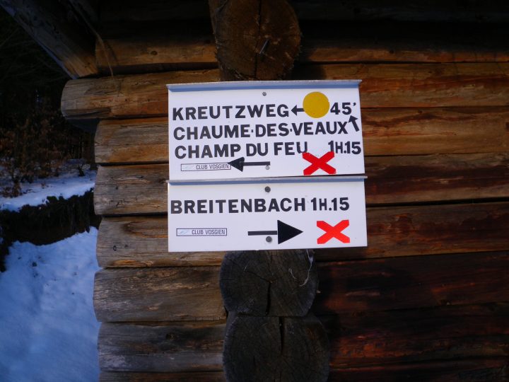 Tannhütte
