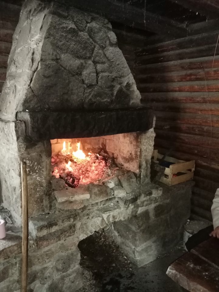 Tannhütte