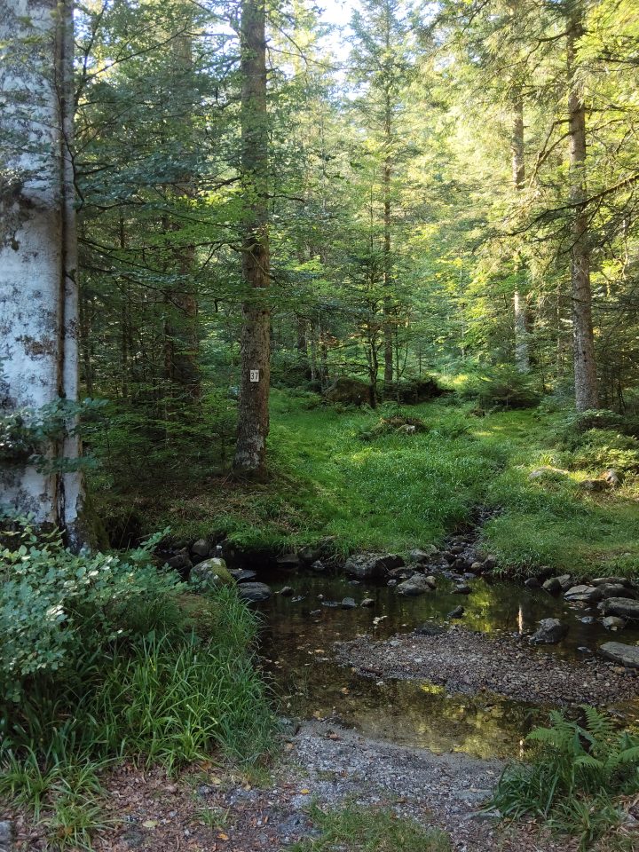 Cabane du Bockloch