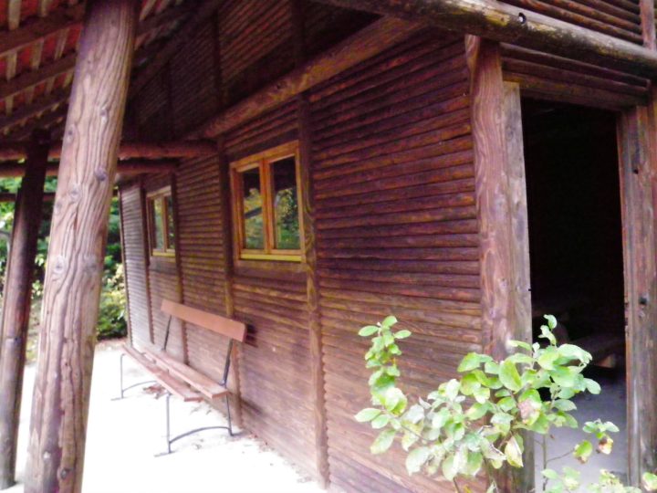 Cabane de la Hâle et le Mont