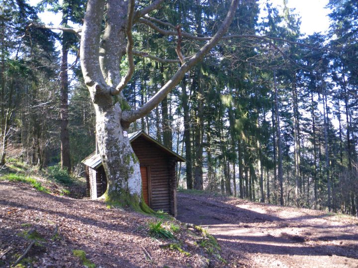 Abri du col du Frankenbourg