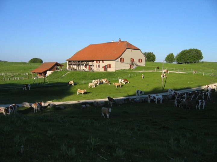 La Ferme du Retord