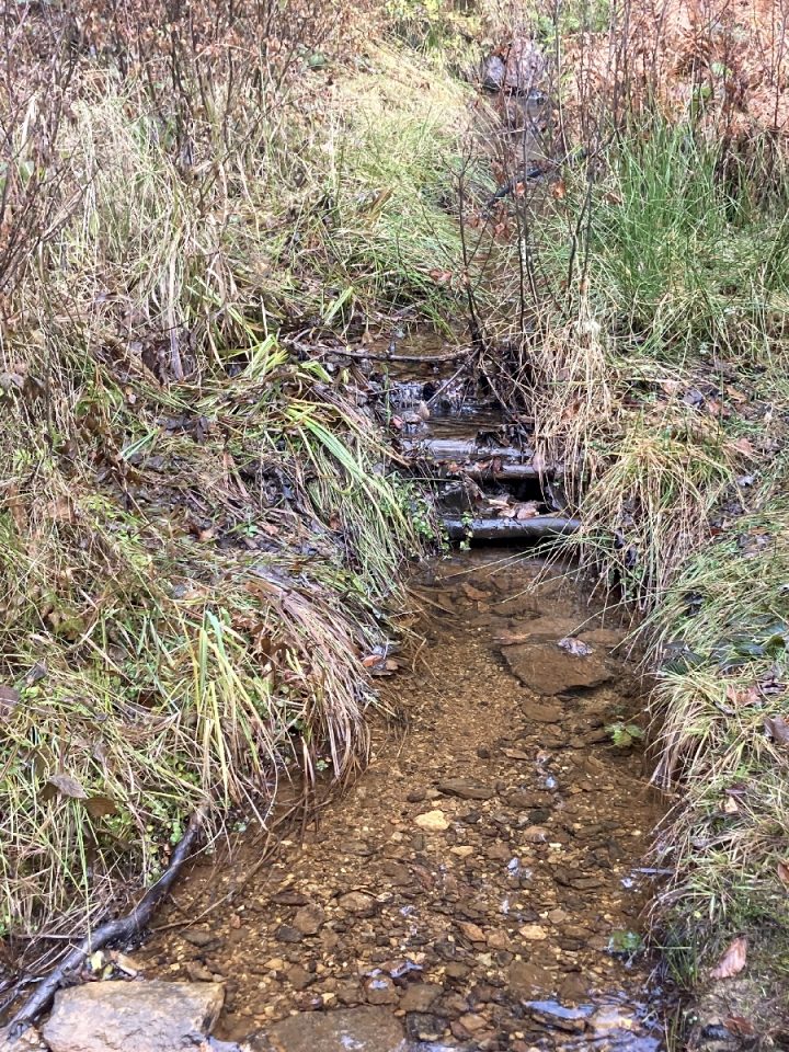 Baraque forestière des Mouilles