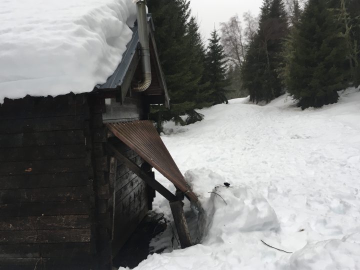 Baraque forestière des Mouilles
