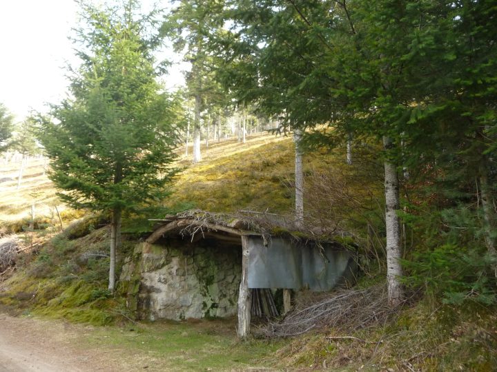 Abri de Foujas