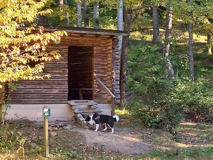 Abri du Wolfsgrube