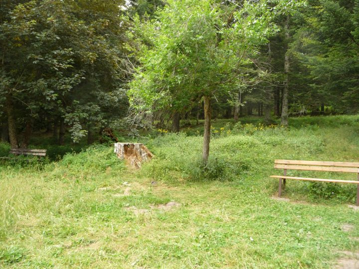 Baraque de la Plaine des 3 Frères