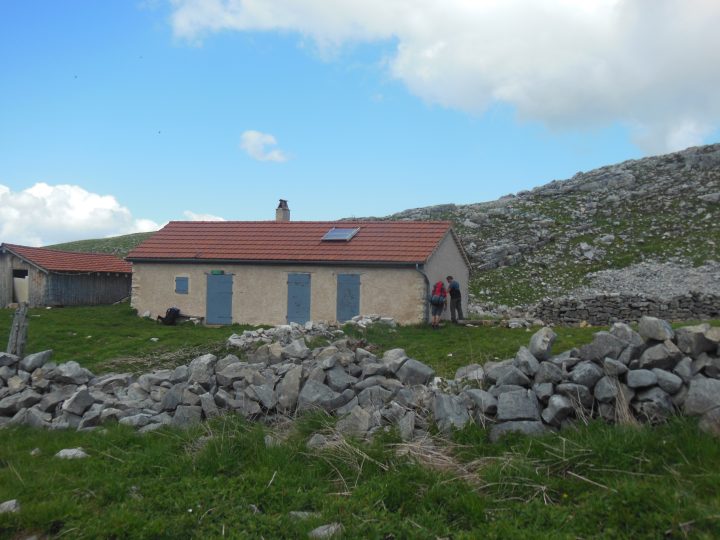 Bergerie du Jardin du Roi