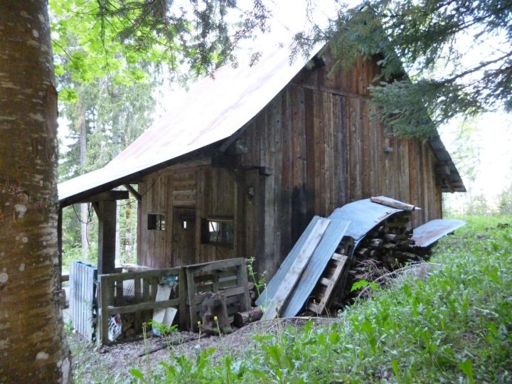 Cabane forestière de l'ONF