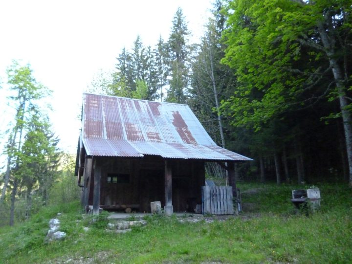 Cabane forestière de l'ONF