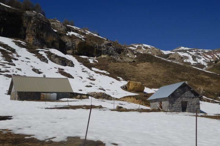 Cabane d'Alpage (cirque de Morgon)