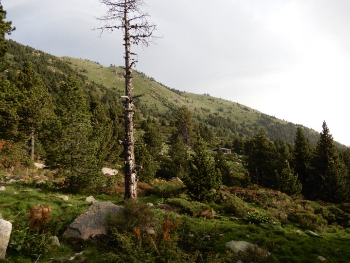 Cabane de l'Alemany