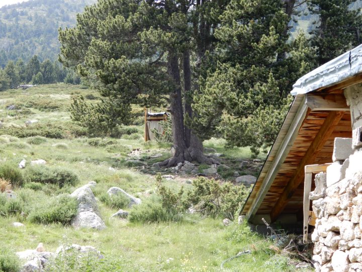 Cabane de l'Alemany