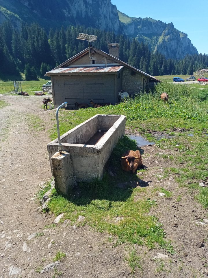 Refuge de Bise