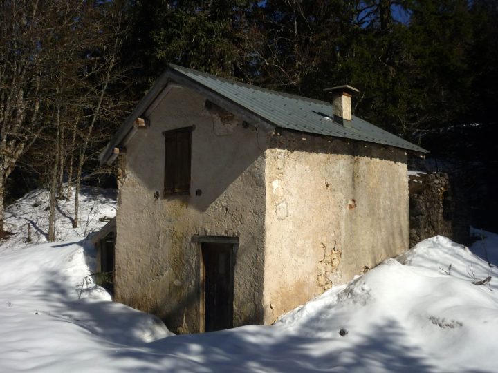 Baraque forestière des Bachassons