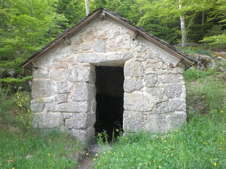Abri Pradier