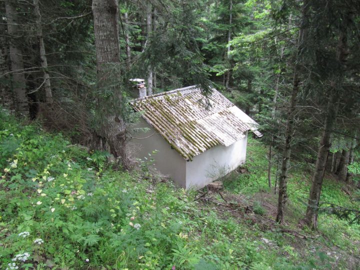 Refuge forestier de la Grand Gaute