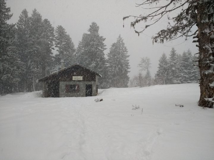 Chalet forestier de Pré Gaudet