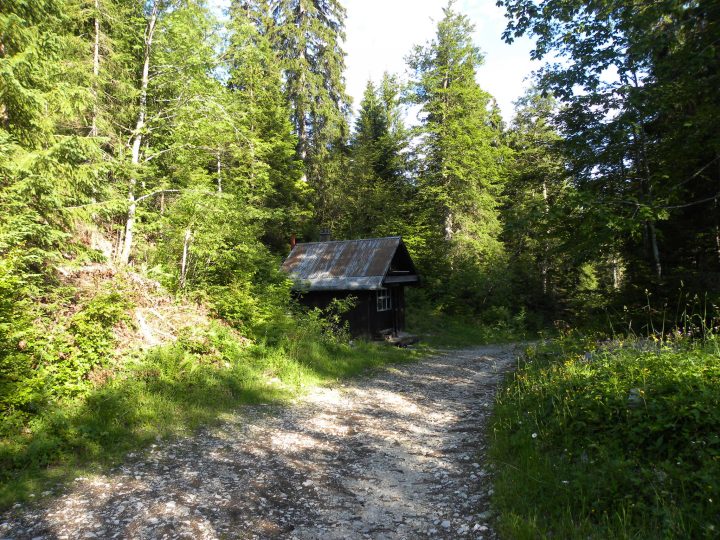 Abri forestier du Long Chemin