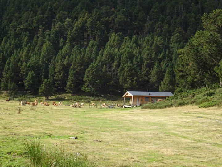 Cabane pastorale de la jasse de Ganyades