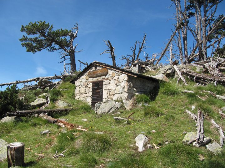 Cabana dels Pastós