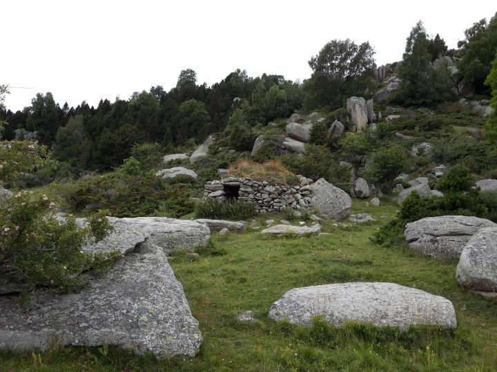 Orri de Nescale