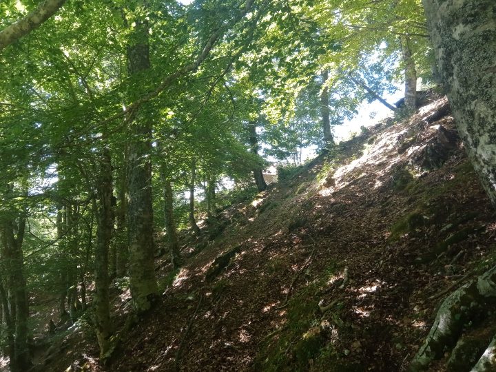 Refuge de San Gavino