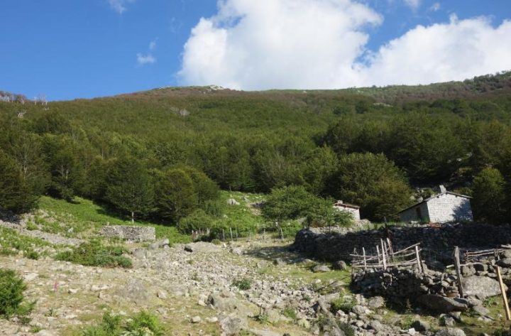 Bergerie des Pozzi