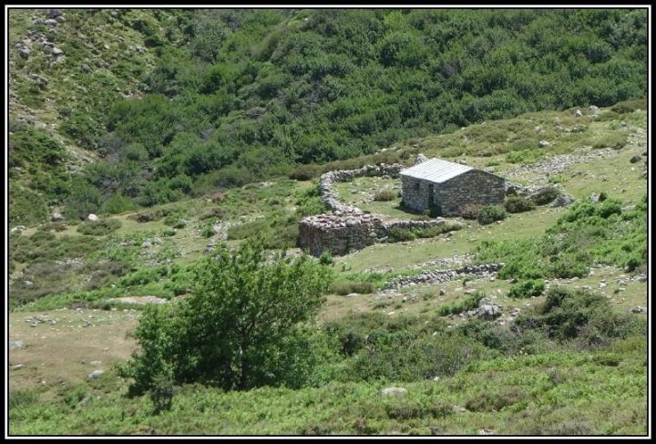 Bergerie de Biccarellu