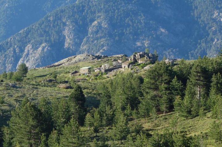 Bergeries de Teghia