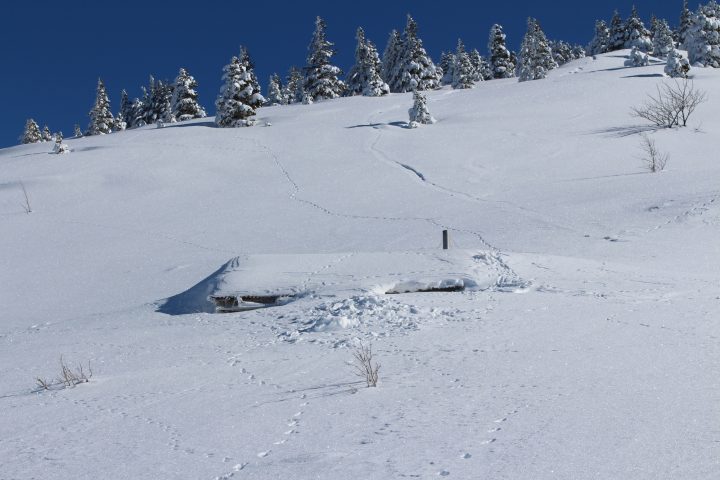 Cabane du Serre du Play