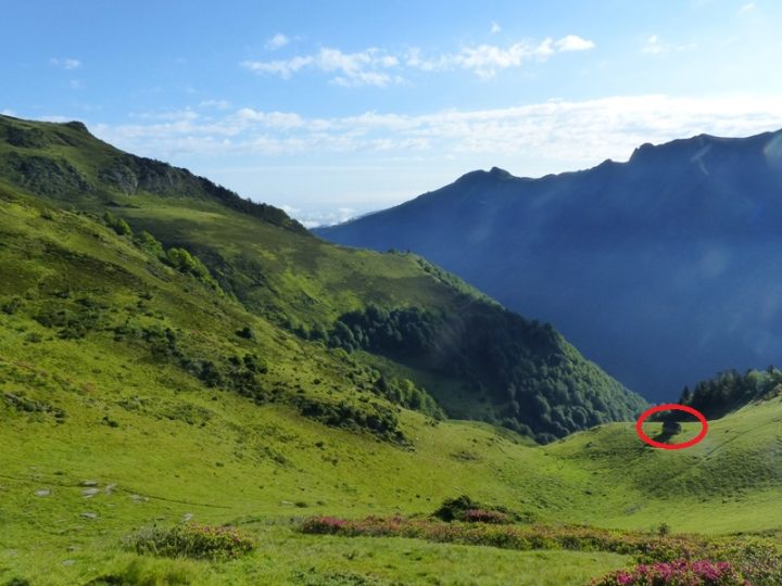 Cabane de Trapech du milieu