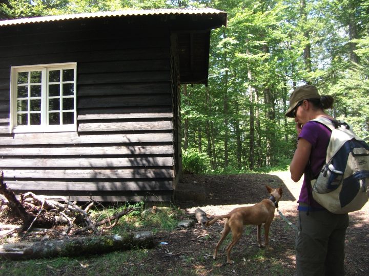 Chalet des Crètes