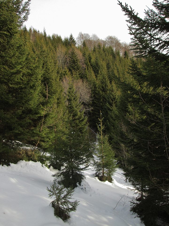 Abri des Granges du  Col de la Cochette