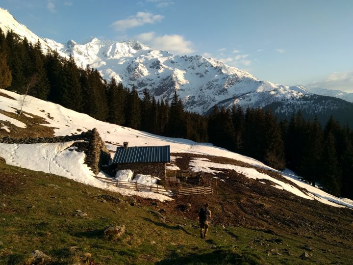 Bergerie de l'Aup Bernard