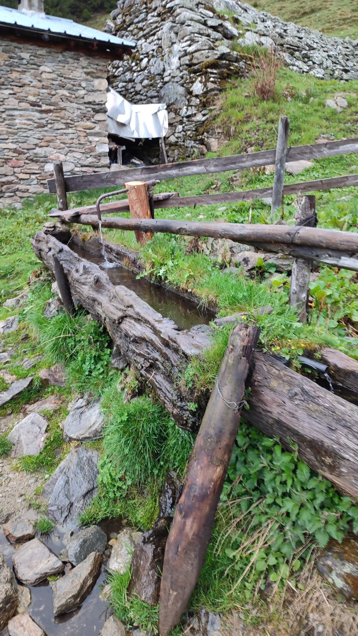Bergerie de l'Aup Bernard
