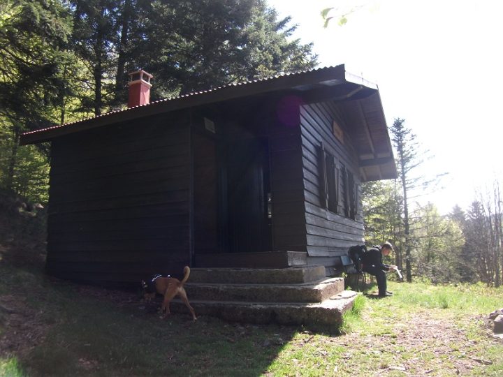 Chalet des Bluets
