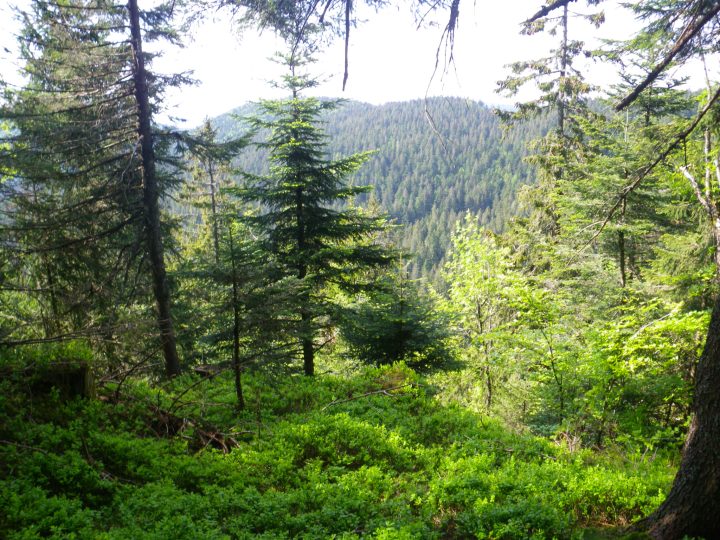 Abri sentier Dielaine