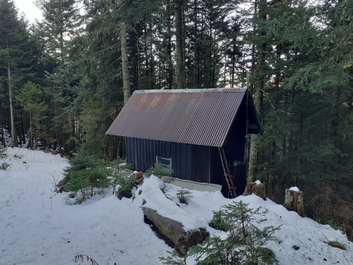 Cabane forestière des Descendues
