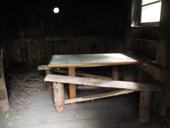 Cabane forestière des Descendues