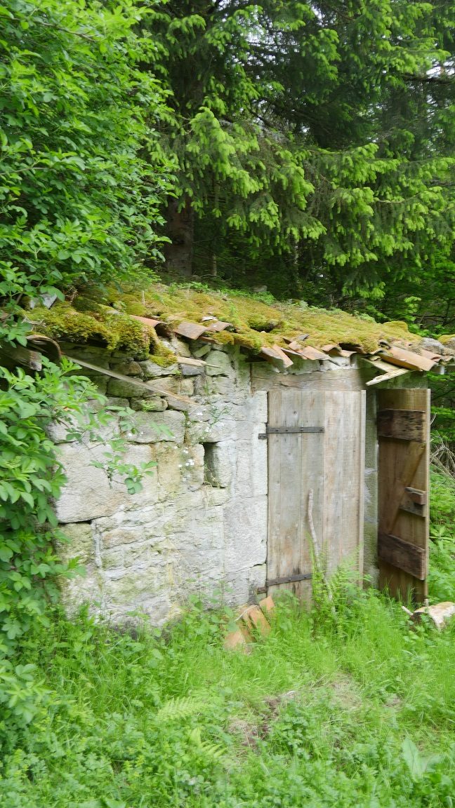 Maison forestière Ayguebonne