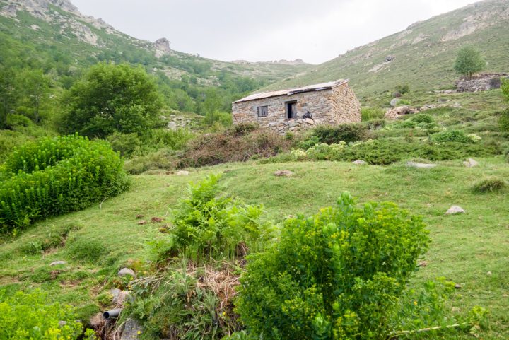 Bergerie de Galghello
