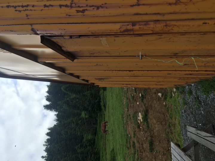 Cabane de Marioulète (dite cabane du Pic de Bazès)