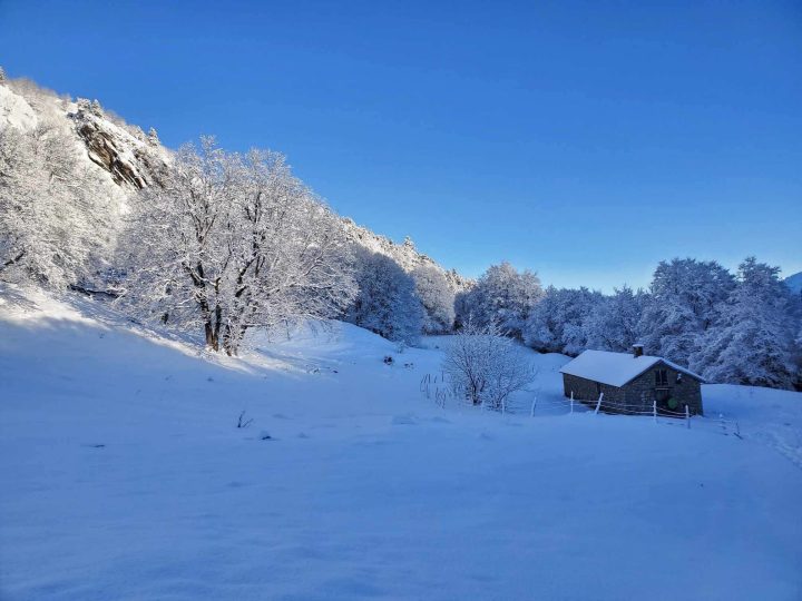 Baraque de Paille (Playe)