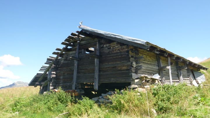 Grange