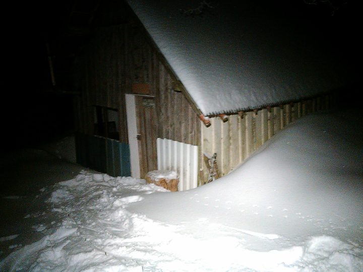 Cabane forestière du Caut