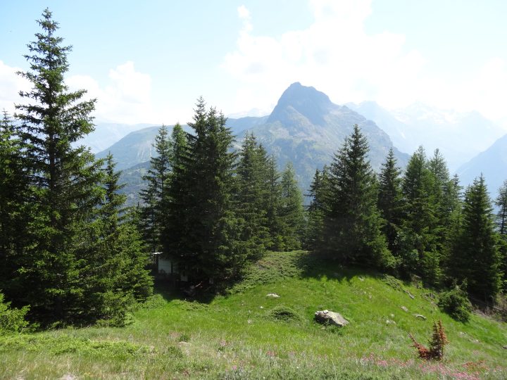 Cabane de Côte Belle