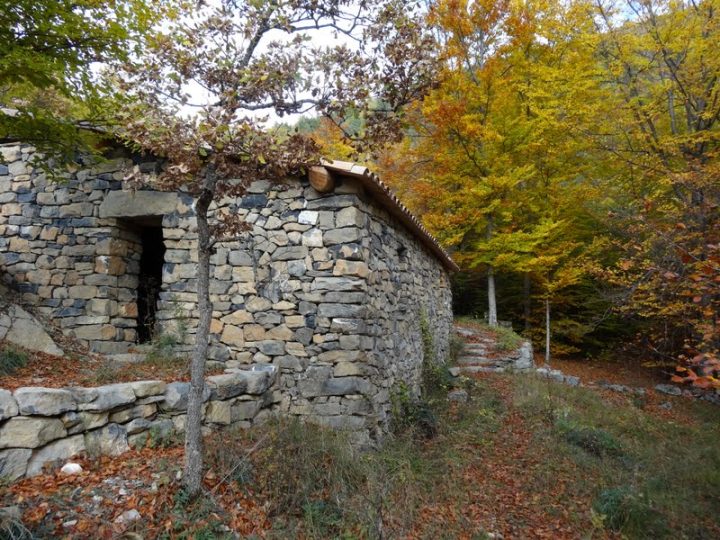 Abri de l'Escuichière