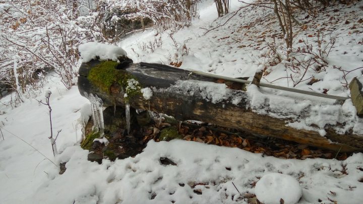 Refuge du Chamois