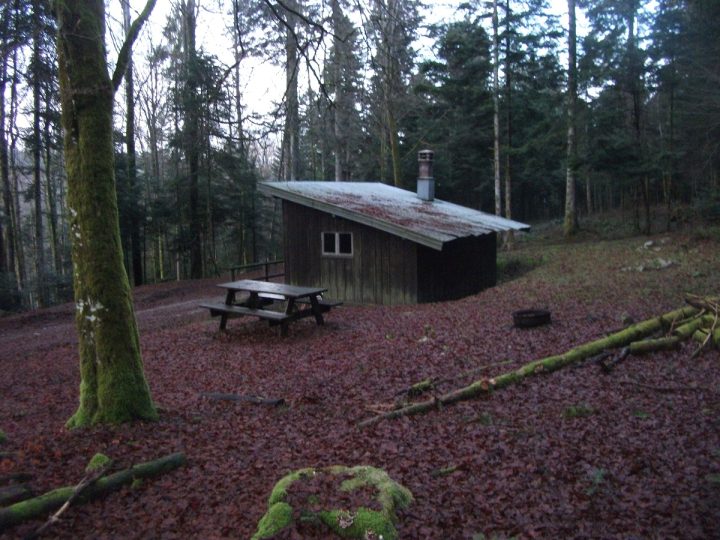 Chalet forestier des Hauts du Mont